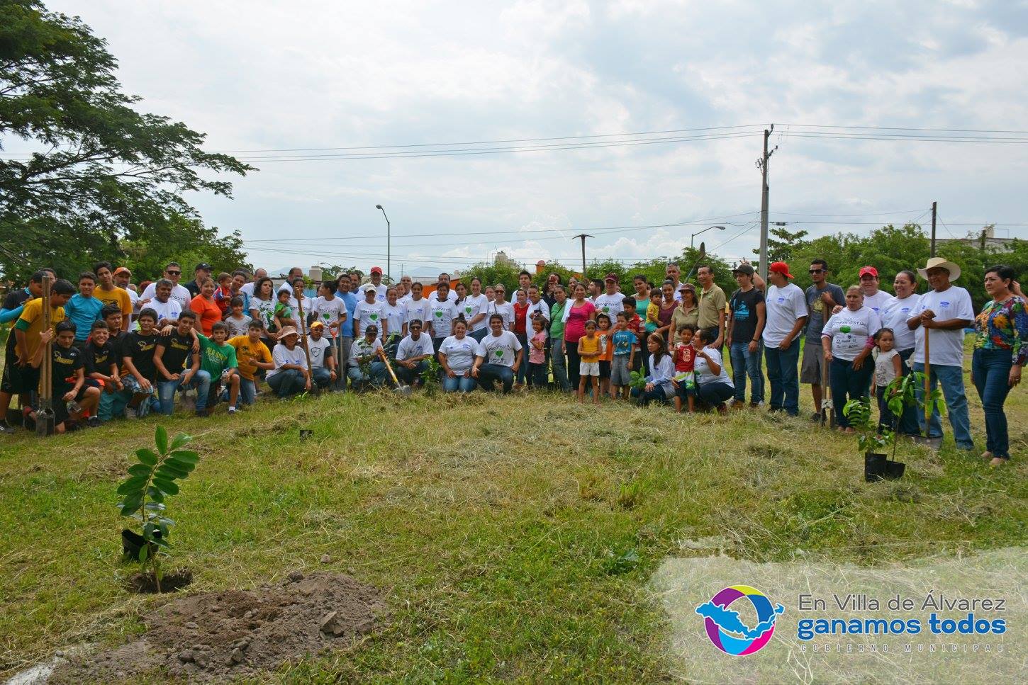 Reforestan el jardín principal de la colonia Real Centenario con 100 árboles frutales