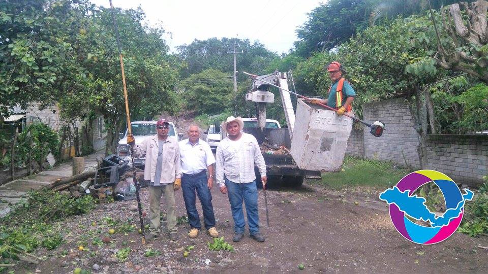 Realizan recolección de cacharros y poda de árboles en la comunidad de Joyitas