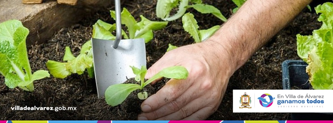 Enseñarán a producir plantas aromáticas y medicinales en La Villa