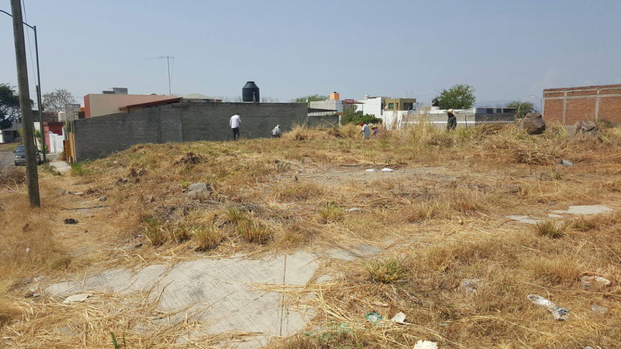 Refuerzan limpieza en lotes y banquetas en la colonia Carlos de la Madrid