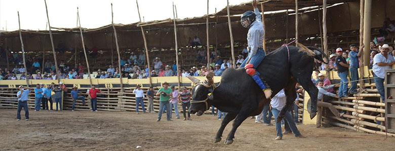 Jaripeo tradicional con toros de los sucesores de Adolfo Jiménez – H