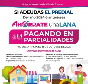 Noticia